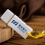 浦發銀行定制  青花瓷U盤（龍鳳對盤）